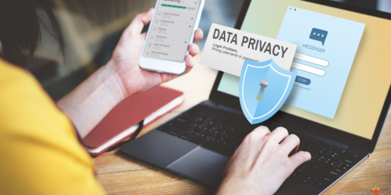 The Evolving Landscape of Data Privacy